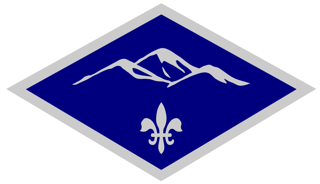 3-116 Infantry Battalion Logo