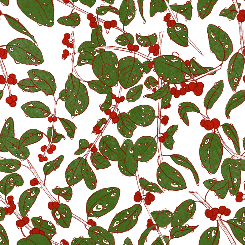 berries on leaves